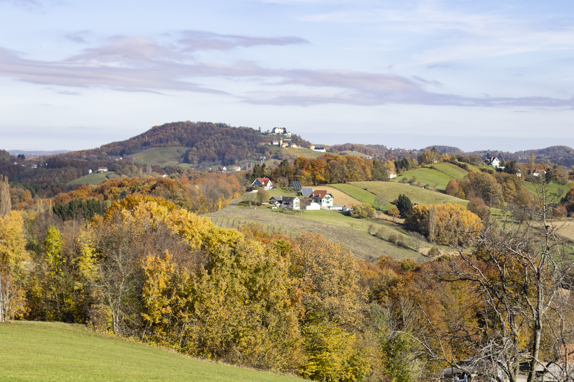Urlaub Weinbau Grießbacher Jamm