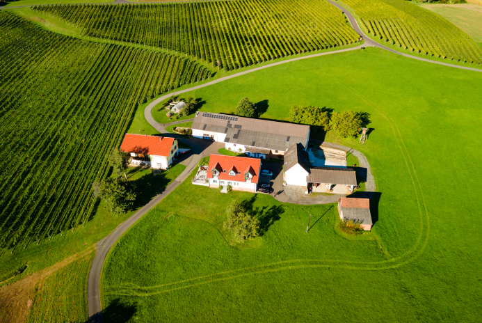 Weinbau_Griessbacher_Jamm_Drohnenaufnahme.png