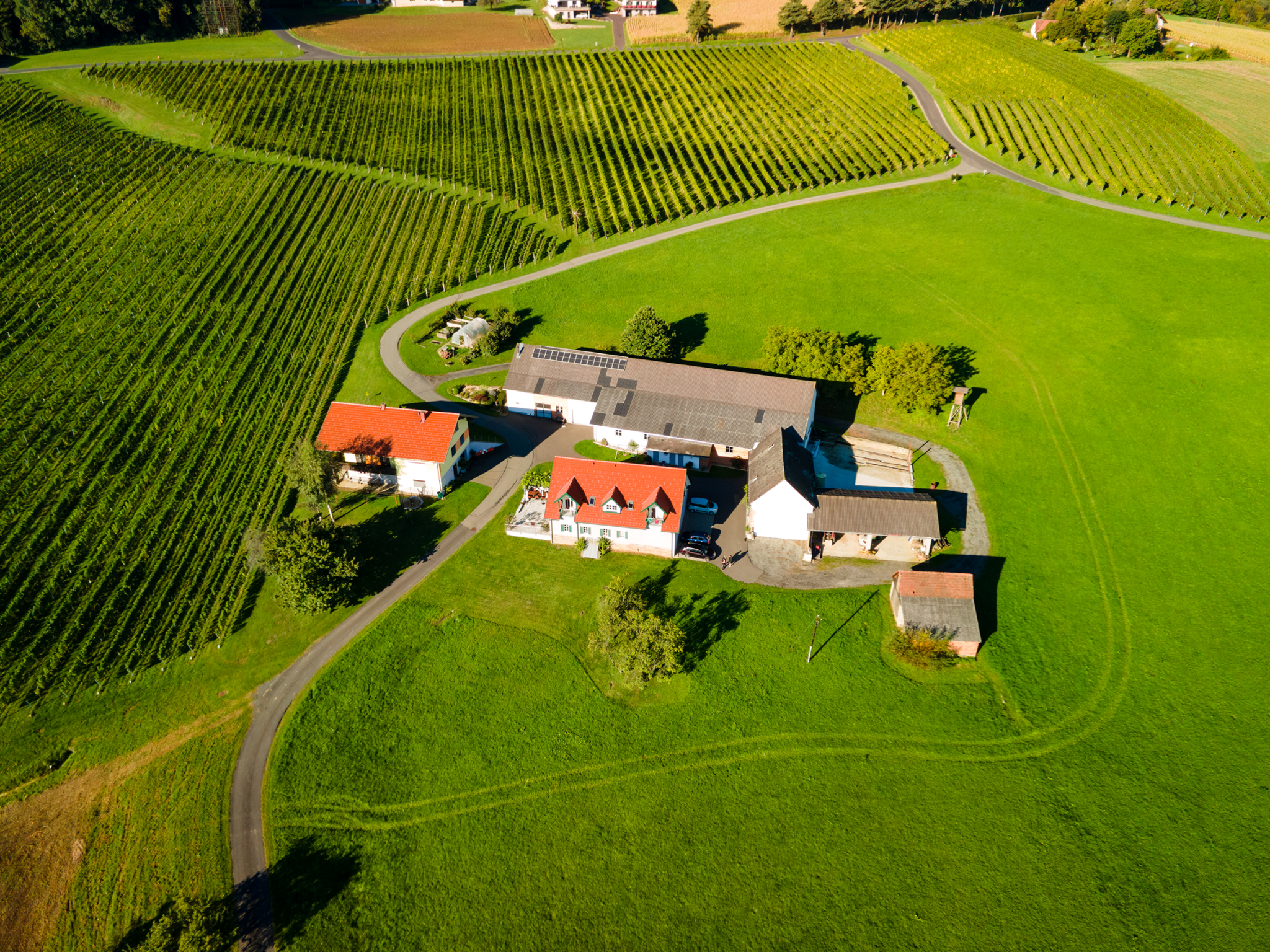 Weinbau Griessbacher Jamm