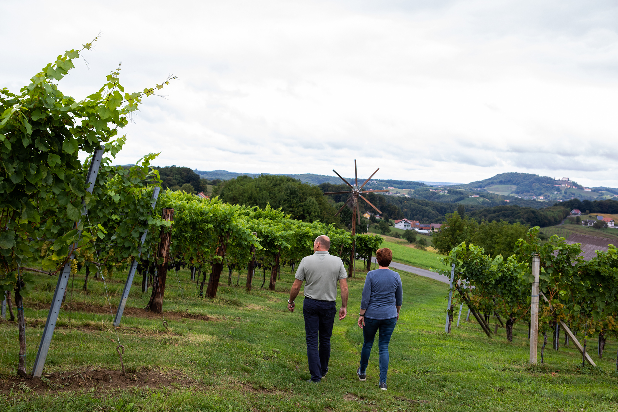 Weingarten Familie Grießbacher Jamm