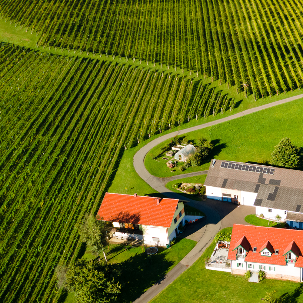 Unsere Weingärten