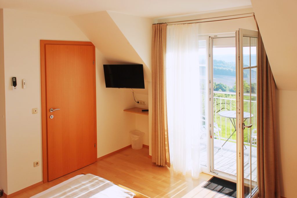 Zimmer Weingartenblick